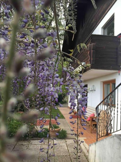 Charmantes Landhaus Mit Garten Und Traumhaftem Fernblick Thal  Екстериор снимка