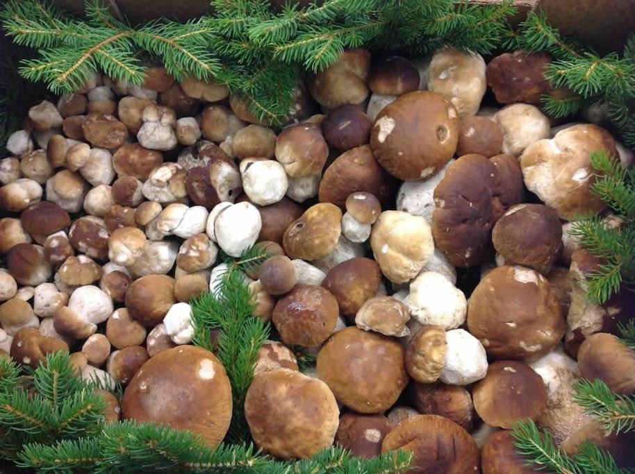 Charmantes Landhaus Mit Garten Und Traumhaftem Fernblick Thal  Екстериор снимка