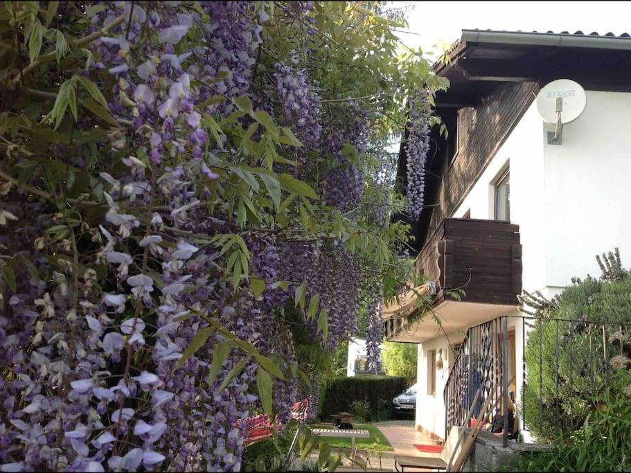 Charmantes Landhaus Mit Garten Und Traumhaftem Fernblick Thal  Екстериор снимка