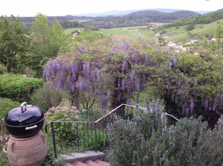 Charmantes Landhaus Mit Garten Und Traumhaftem Fernblick Thal  Екстериор снимка