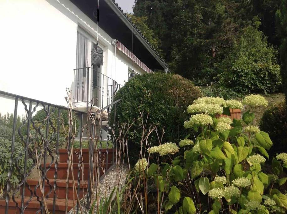 Charmantes Landhaus Mit Garten Und Traumhaftem Fernblick Thal  Екстериор снимка